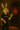 Cartoon-Hase vor einer Holztür mit rot leuchtender 18+-Markierung
